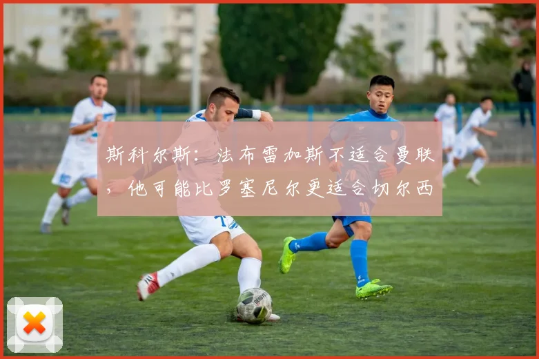 斯科尔斯：法布雷加斯不适合曼联，他可能比罗塞尼尔更适合切尔西